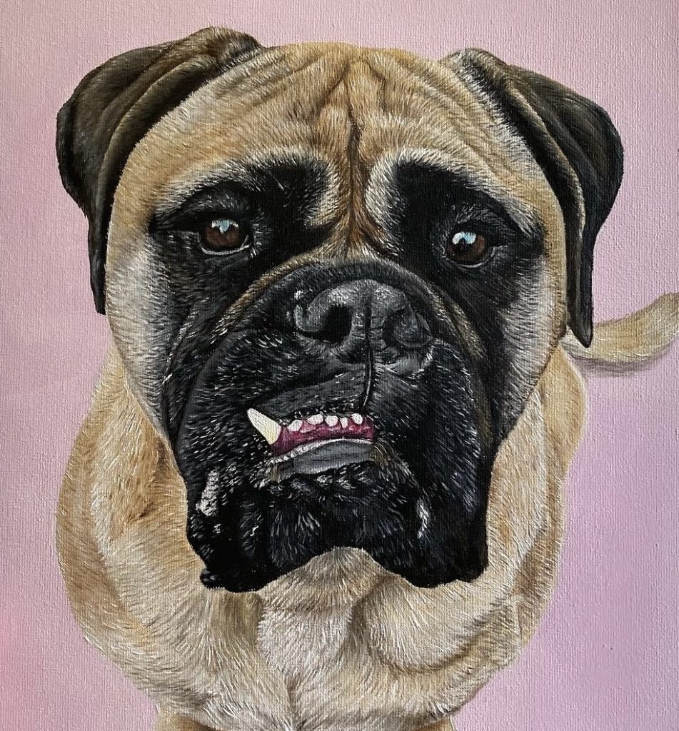 Retratos de mascotas por encargo perro