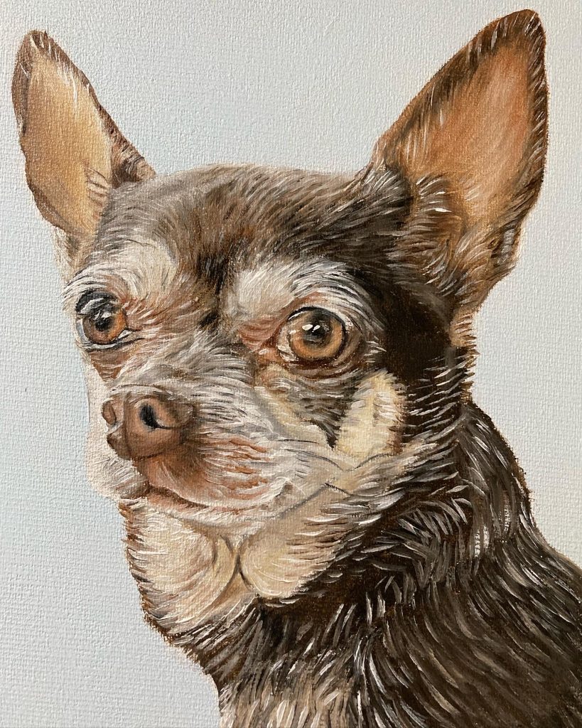 Retratos de mascotas por encargo