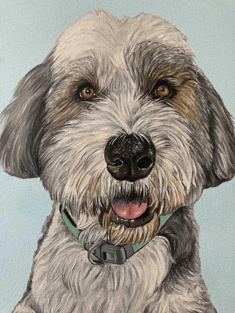 Retratos de mascota por encargo