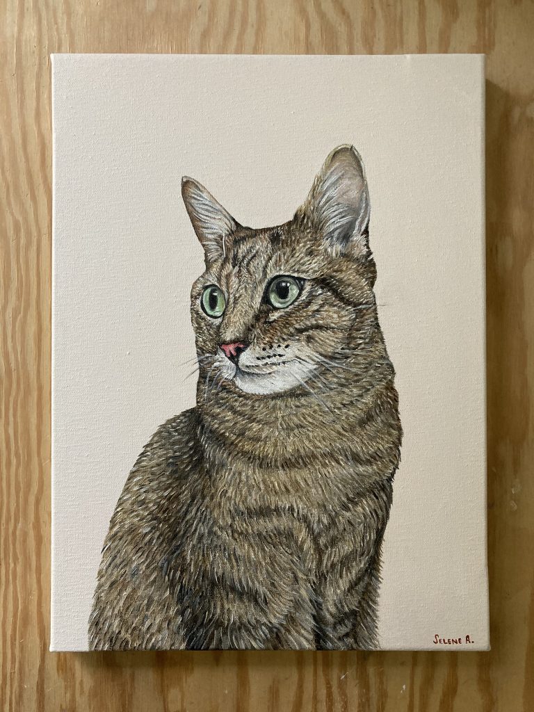 Retratos de mascotas por encargo al óleo