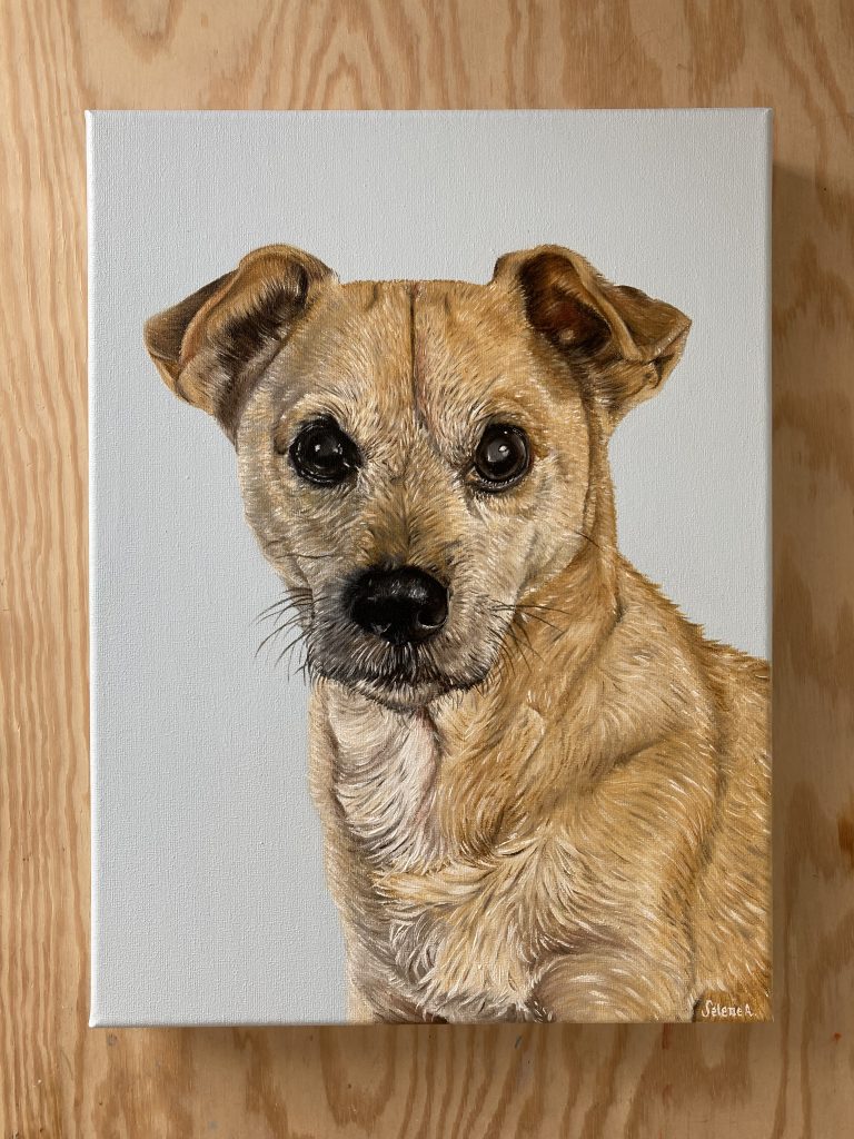 Retratos de mascotas por encargo